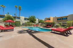 Camelback 446