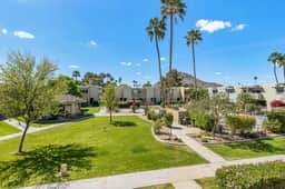 Camelback 446