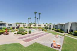 Camelback 260
