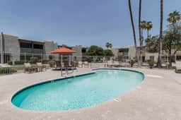 Camelback 367