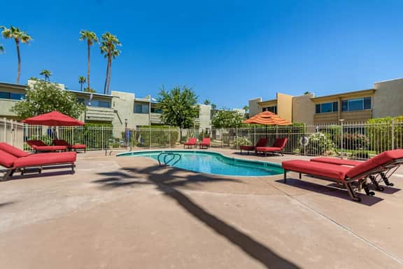 Camelback 446