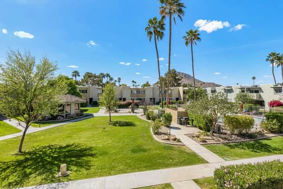 Camelback 446
