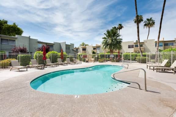 Camelback 260