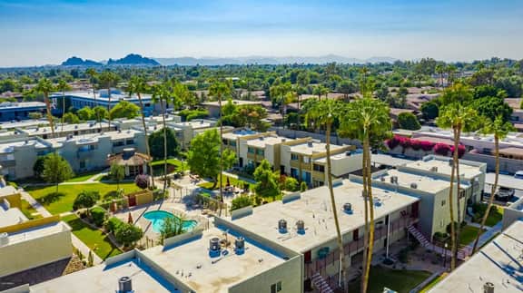 Camelback 367