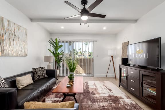 Camelback 260