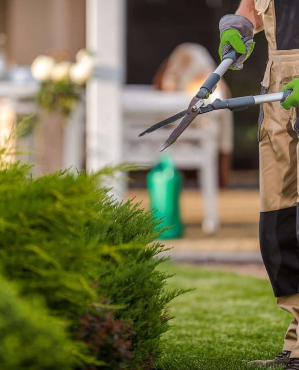Landscape Maintenance